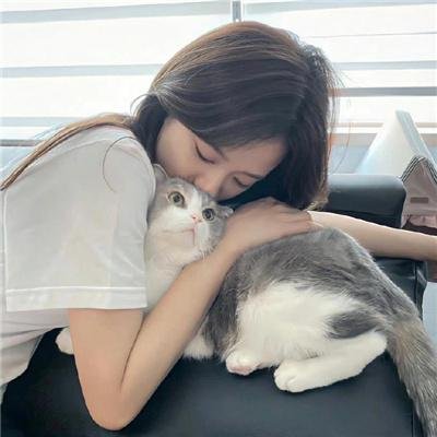 理性和感性